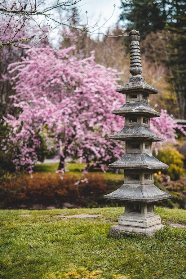 The art of japanese gardens: tranquility in your backyard