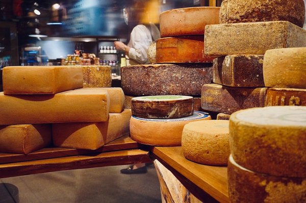 The art of home-made cheese: dairy crafting for beginners